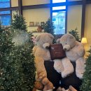 제주하우스 | 경기도 광주 카페, 아이 동반 괜찮을까? (제주베어하우스 후기)