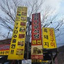 정자나무아래 이미지