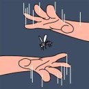 건지약품 주식회사 | 인간과 모기의 지난한 전쟁사