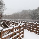 고복자연공원 수변 길 이미지