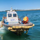 부흥호 가두리 낚시터 이미지