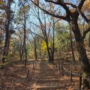 세븐일레븐김포물류센타점 | 운동중독자의 부상 중 운동일기 #연경산 등산 #굴포천-아라뱃길라이딩