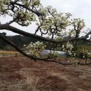 다복솔한의원 이미지