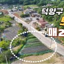 소로3-139 Daum카페