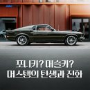 카스토리 이미지