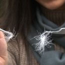 이불고기 이미지