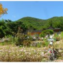 산들산들 민박 이미지