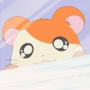 새나리생고기 이미지