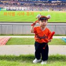 대전 한화생명볼파크 좌석별 시야 후기, 아기와 함께라면 어디가 좋을까?
