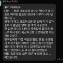 쏘티커피 | [성수] 영국 디저트 커스터드 보울 맛집 신상 카페, 뉴요크