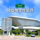 부산광역시 영도구 해양로 | 영도 국립해양박물관 무료 아쿠아리움 어린이박물관 푸드코트