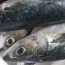 남해꽃게탕 이미지