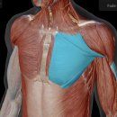 피티필드 전포 이미지