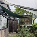 호호국수 - 용인시 기흥구 신갈로96번길 11-52 | 제주 애월 우굼 톳튀김명란비빔밥 몰망국수 내돈내산후기