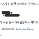 브이투 이미지