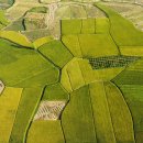 정성 태양광발전소 이미지