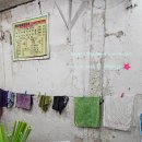 강수정소 | 홍콩 자유여행, 타이항 빙키 ( Bing Kee Cha Dong-炳記茶檔 ) 오랜만에 갔는데 대 실망 ㅋㅋ ( 부제...