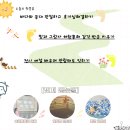 공간속의빛 | 경주 송대말등대 빛체험 전시실 바다와 빛이 공존하는 공간