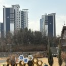 엘리트 스포츠클럽 | [공지] 코칭일지ㅣ#1.바나나스포츠 송도 오픈기념 무료 러닝클래스 진행 준비과정, 후기, 추구하는 러닝