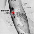 맥스아웃 휘트니스 정발산점 이미지