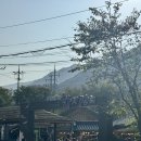 화개장터 주차장 | 하동 화개장터 | 맛집, 주차장, 먹거리