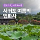 꽃이있는풍경 | 서귀포 여름의 법화사, 화사한 배롱나무꽃과 고즈넉한 풍경