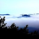 Jannie Frickie - The Foggy Dew 이미지