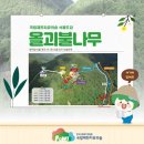 제천 치유의 숲 이미지