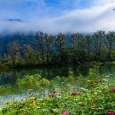 강가의아침 이미지