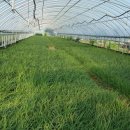 까미농장 이미지