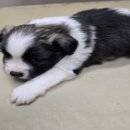 남지카공업사 이미지