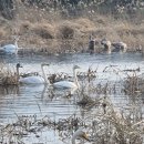 난곡동-63 이미지