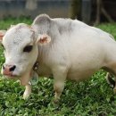 한세계농장 이미지