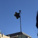 로마 바티칸 투어 투어로그 소규모 바티칸 그룹투어 패스트트랙 후기