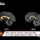 153셀라음악학원 이미지