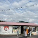 은하네농장 | 제주 서귀포 감귤 따기 체험 &#39;은하감귤체험농장&#39; 아이와 갈만한 곳 (귤 많음 주의)