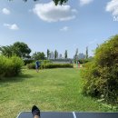 호야과일 이미지