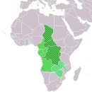 중앙 아프리카 역대 베스트 이미지