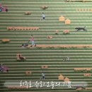 춤추는 돌고래 노래연습장 | 그라운드시소 한남 히무로 유리 오늘의 기쁨 서울 전시 추천