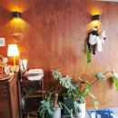 카페 구월 | 구월동 분위기 좋은 카페, 디저트 맛집 오몽 구월점 후기