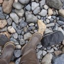 임금농장 이미지