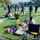 모산초등학교 | [평택 축구교실] &#34;500명이 함께한 안스 축구교실&#34; 2025 프랜들리 올스타전