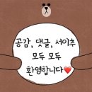 제주도 한라산 영실코스 여행, 후기, 가는법 / 한라산게스트하우스