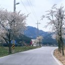 부안 내소사&#34;돌개마실 캠핑장&#34; 이용후기 4월첫캠핑
