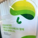 오야오얏 이미지