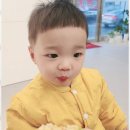 모종드헤어