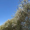 황산공원(황산B) 이미지