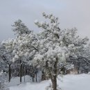 관악산 사당능선 설경-①(K11헬기장~6거리안부~지도바위~관악산정상 설경) 이미지