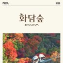시즌원PC | 2025년 가을 화담숲 단풍시즌 모노레일 화담채 예약 성공 꿀팁 후기 매진 현황