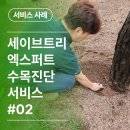 세이브트리엑스퍼트 이미지
